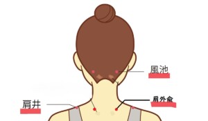 頚・肩部のツボ