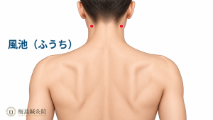 後頭部にある風池（GB20）の位置を示した図