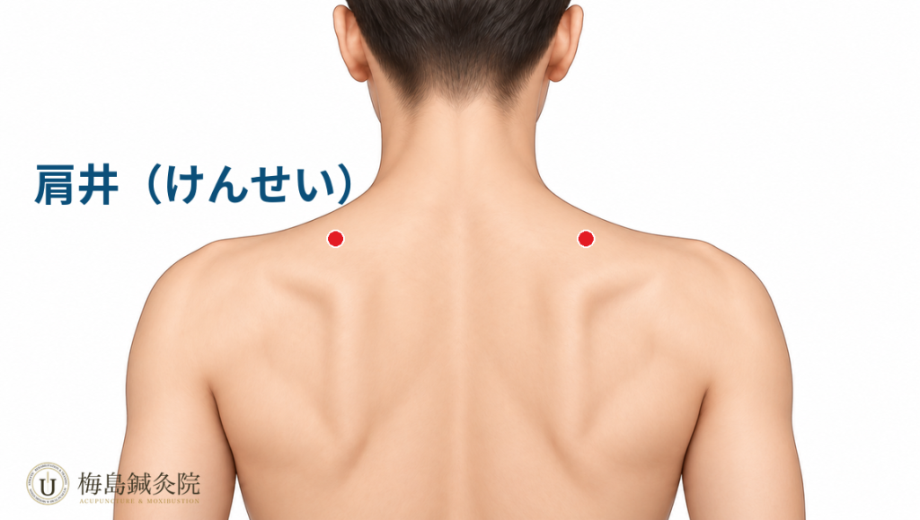 首から肩にある肩井（GB21）の位置を示した図