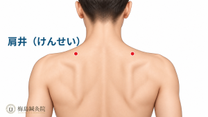 首から肩にある肩井（GB21）の位置を示した図
