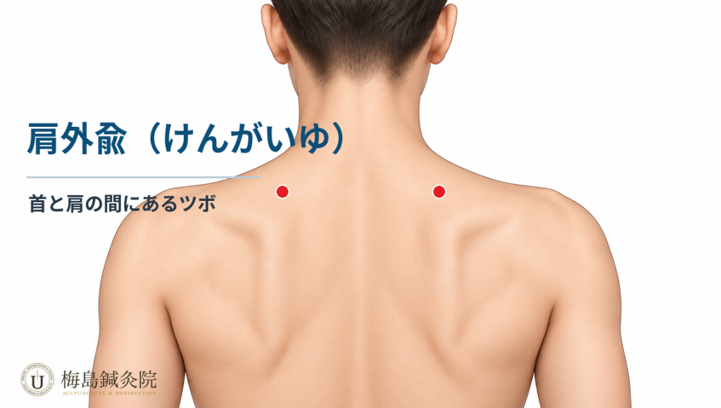 上背部にある肩外兪（SI14）の位置を示した図