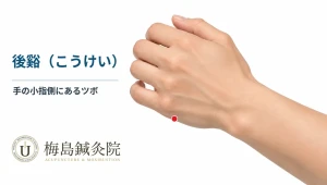 右手小指側にある後谿（SI3）の位置を示した図