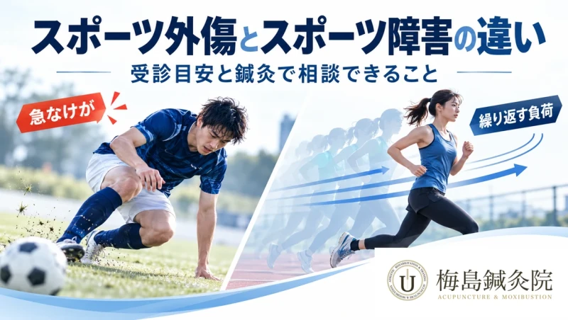 スポーツ外傷とスポーツ障害の違い、受診目安、鍼灸で相談できる範囲を案内するアイキャッチ画像
