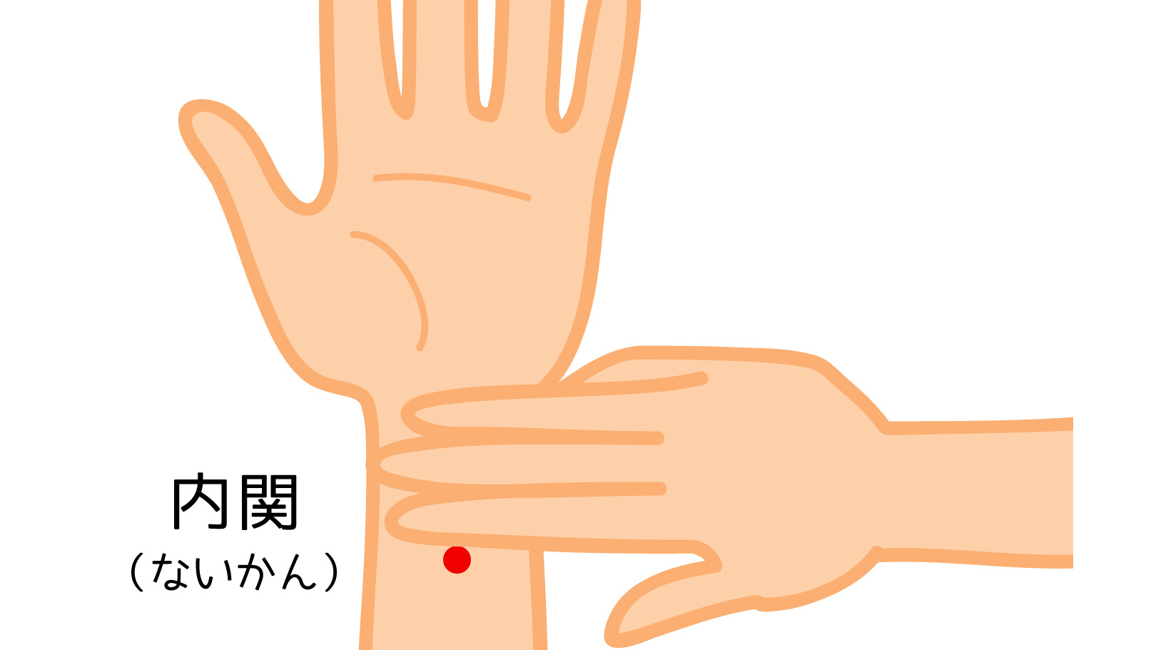 内関穴 イラスト | 梅島鍼灸院