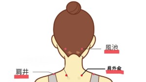 頚・肩部のツボ