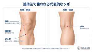膝周辺の代表的なツボ