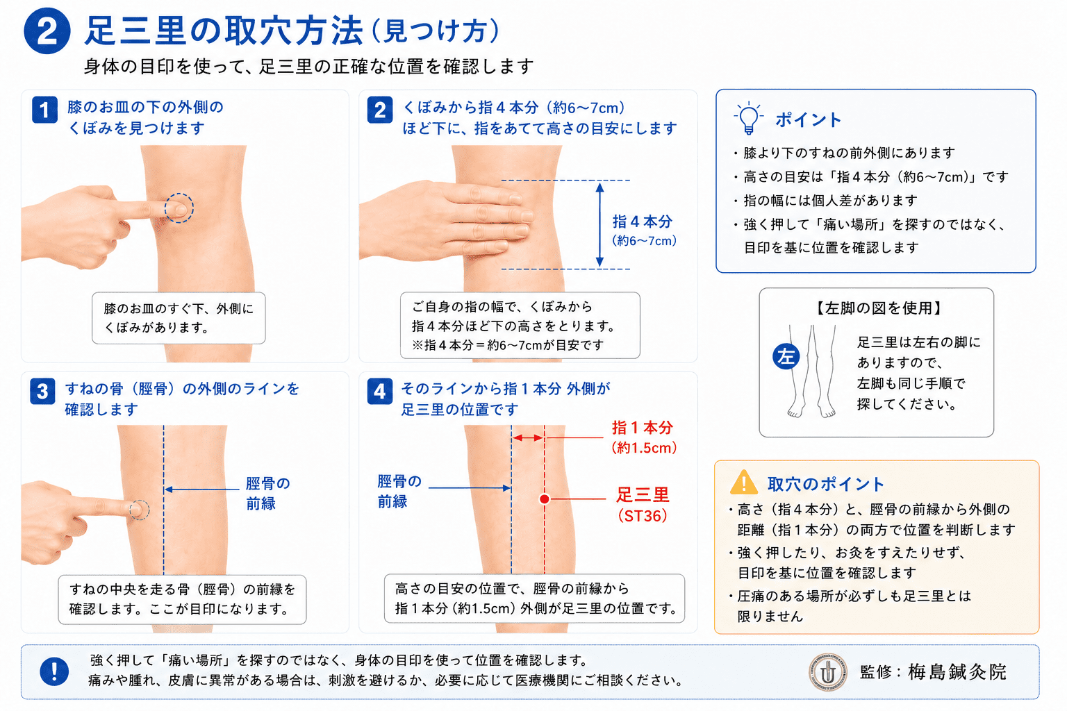 足三里の手順に沿った位置確認