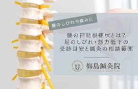 腰の神経根症状による足のしびれや筋力低下の受診目安と鍼灸の相談範囲を案内するアイキャッチ画像