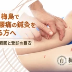 足立区・梅島で肩こり・腰痛の鍼灸相談について案内する記事のアイキャッチ画像