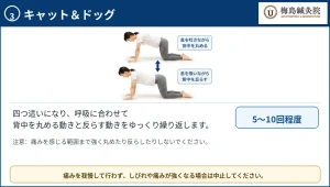 キャットアンドドッグのストレッチ方法を示した画像