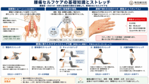 腰痛セルフケアに関係する腸腰筋・骨盤・股関節とストレッチ方法を示した図